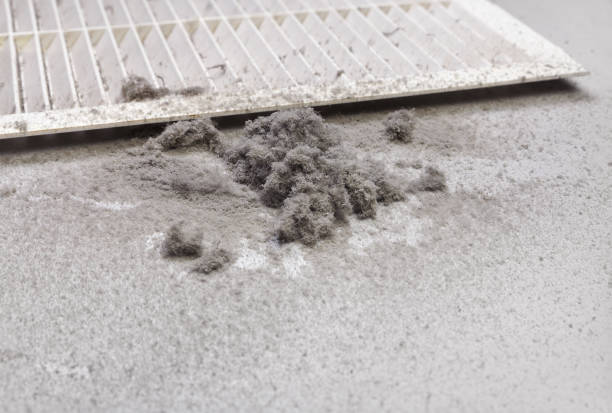 Best Air Vent Cleaning Services  in Compo, CT